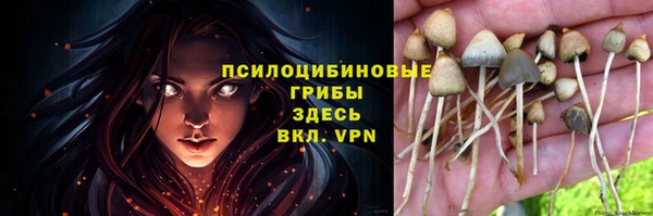 mix Белокуриха